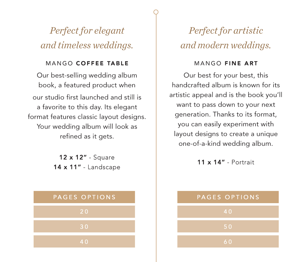 Why you should invest in Mango Studios wedding photo album