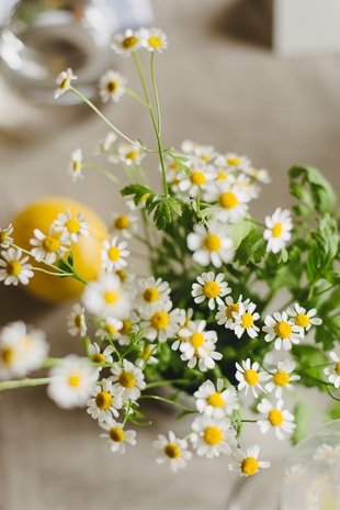 garden-inspired shower is one of the most elegant bridal shower themes