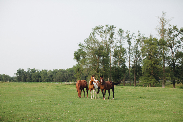 Elegant-Barn-Wedding-0022